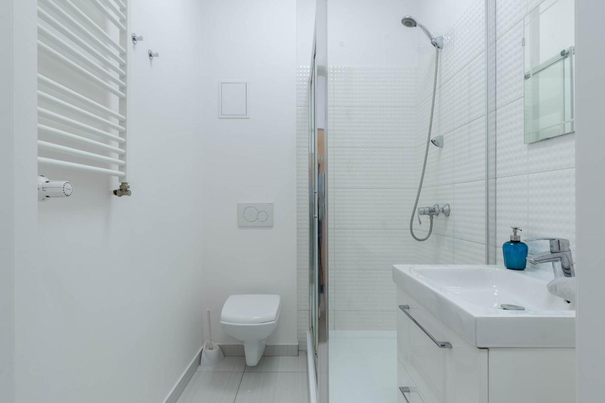 פוזנן Blue Apartment Browar Central מראה חיצוני תמונה